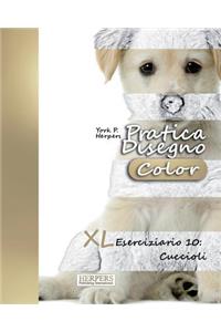 Pratica Disegno [Color] - XL Eserciziario 10