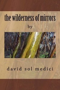 The wilderness of mirrors