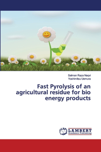 Fast Pyrolysis of an agricultural residue for bio energy products