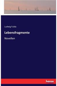 Lebensfragmente: Novellen