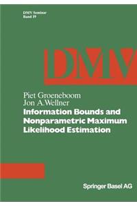 Information Bounds and Nonparametric Maximum Likelihood Estimation
