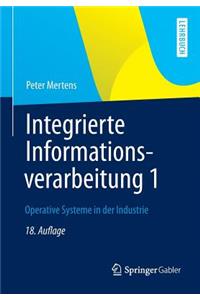 Integrierte Informationsverarbeitung 1
