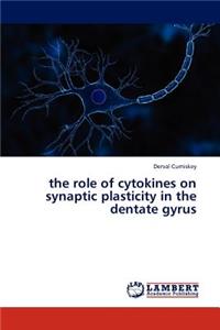 role of cytokines on synaptic plasticity in the dentate gyrus