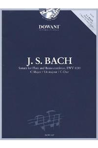 Bach: Sonata for Flute and Basso Continuo in C Major, Bwv 1033