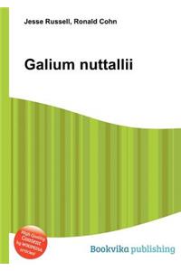 Galium Nuttallii
