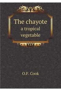 The chayote a tropical vegetable