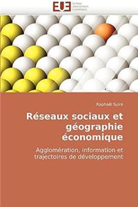 Réseaux sociaux et géographie économique