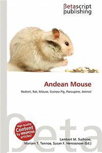 Andean Mouse