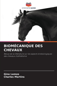 Biomécanique Des Chevaux