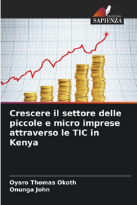 Crescere il settore delle piccole e micro imprese attraverso le TIC in Kenya