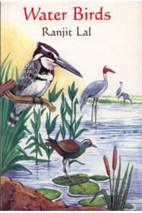 Water Birds