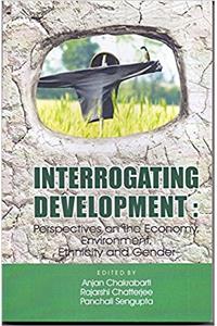 Interrogating Development: Perspectives on the Economy, Environment, Ethnicity and Gender