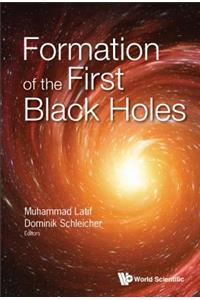 Formation of the First Black Holes