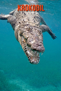Krokodil