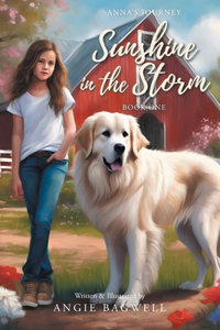 Sunshine in the Storm