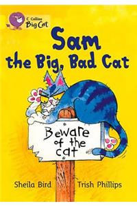 Sam and the Big Bad Cat