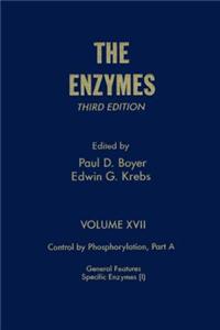The Enzymes