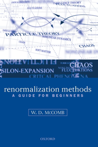 Renormalization Methods