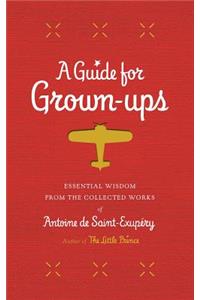 A Guide for Grown-Ups