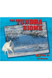 The Tundra Biome