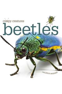 Beetles