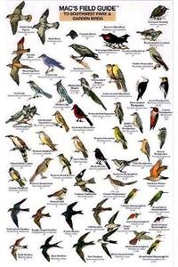 Mac's Field Guides: Southwest Park/Garden Birds