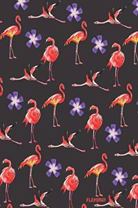 Flamingo!