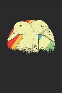 Ducks Retro
