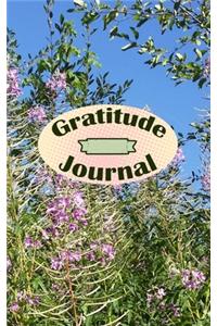 Gratitude Journal