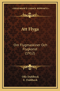 Att Flyga