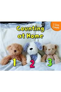Counting at Home