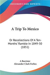 Trip To Mexico