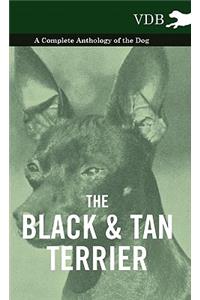 Black and Tan Terrier - A Complete Anthology of the Dog -