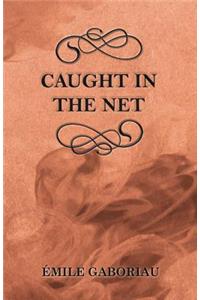 Caught in the Net