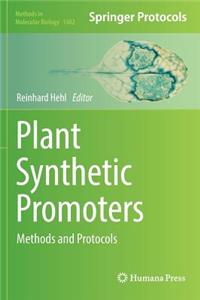 Plant Synthetic Promoters