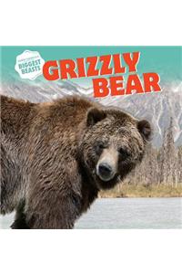 Grizzly Bear