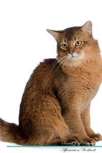 Somali Cat Affirmations Workbook Somali Cat Presents