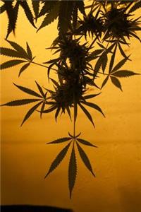 The Marijuana Journal: 150 Page Lined Notebook/Diary