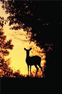 Doe a Deer Journal