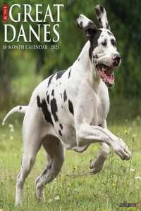 Just Great Danes 2021 Wall Calendar (Dog Breed Calendar)