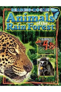 Animals of the Rain Forest