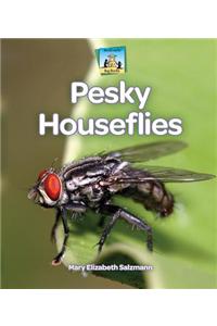Pesky Houseflies