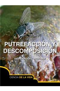 Putrefacción Y Descomposición