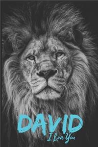 David I Love You