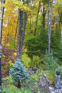2020 Weekly Planner Fall Foliage Colors Autumn Landscape 134 Pages