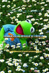 Lumea Asta Vesela Si Trista...