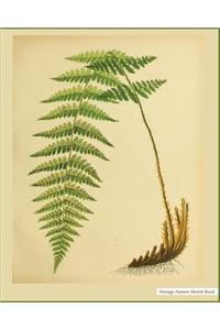 Vintage Nature Sketch Book