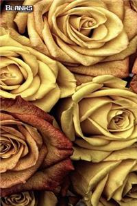 Blanks Blank Notebooks