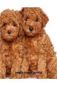 Poodle Puppy Journal