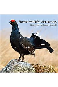 The Scottish Wildlife Calendar 2018